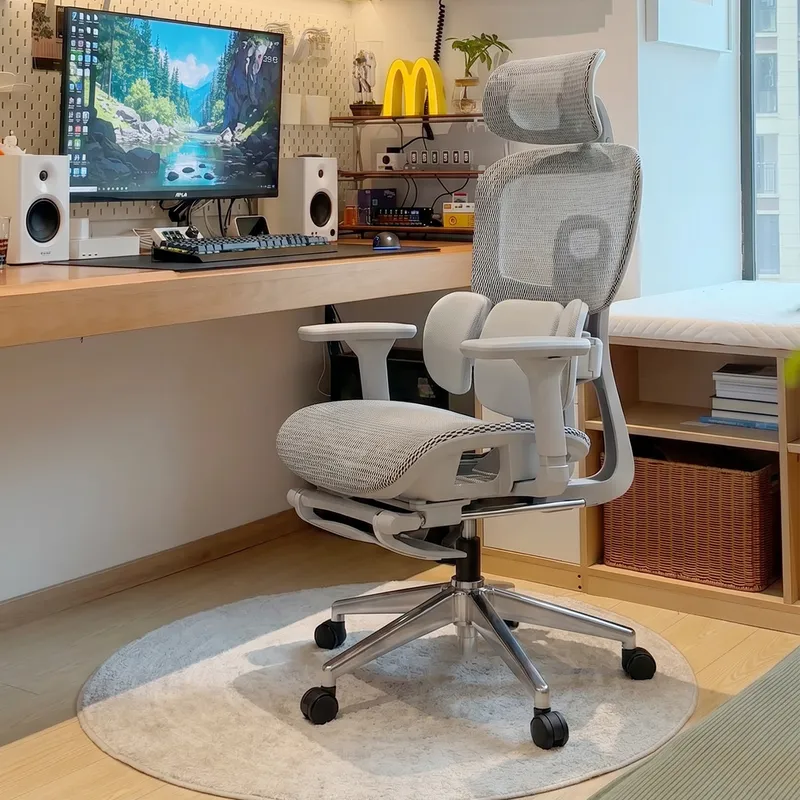 Ergonomic Office Chair with Lu - Home Office Work review and price