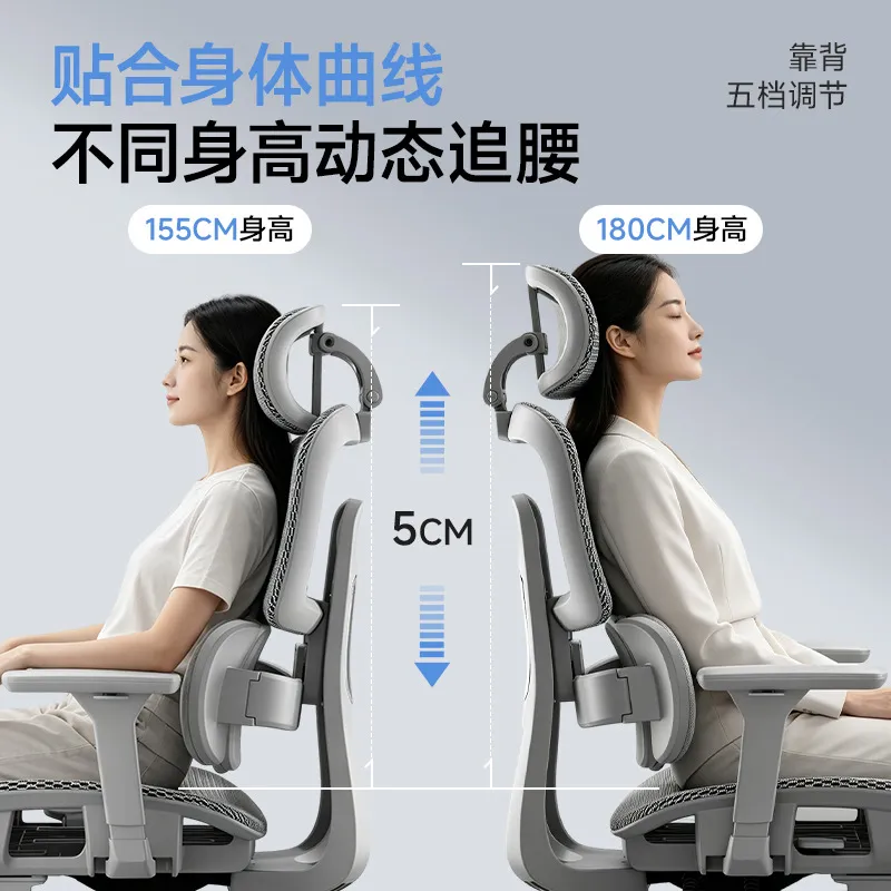 Ergonomic Office Chair with Lu - Home Office Work review and price