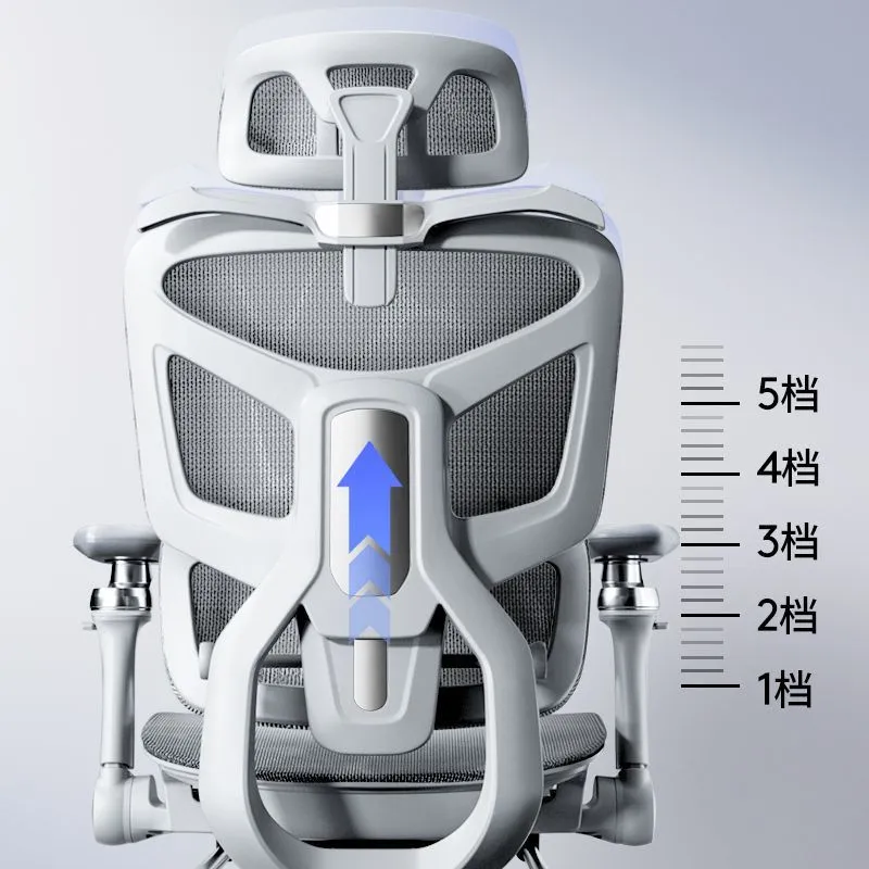 Ergonomic Computer Chair with  - Home Office Work review and price
